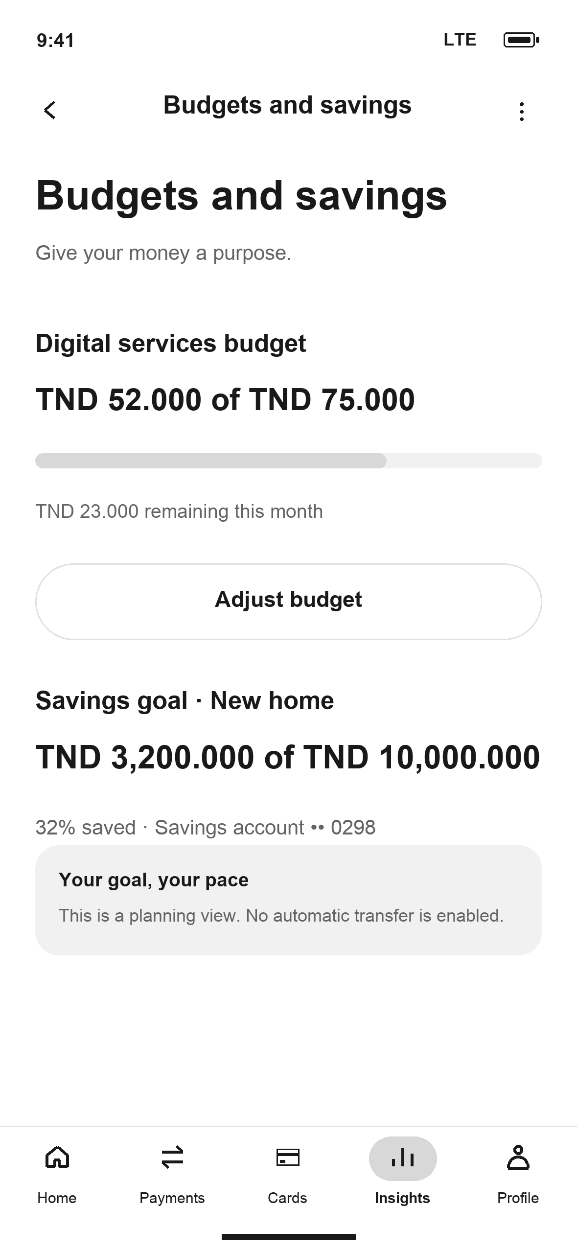 WF-24: DTB Budgets and savings in English